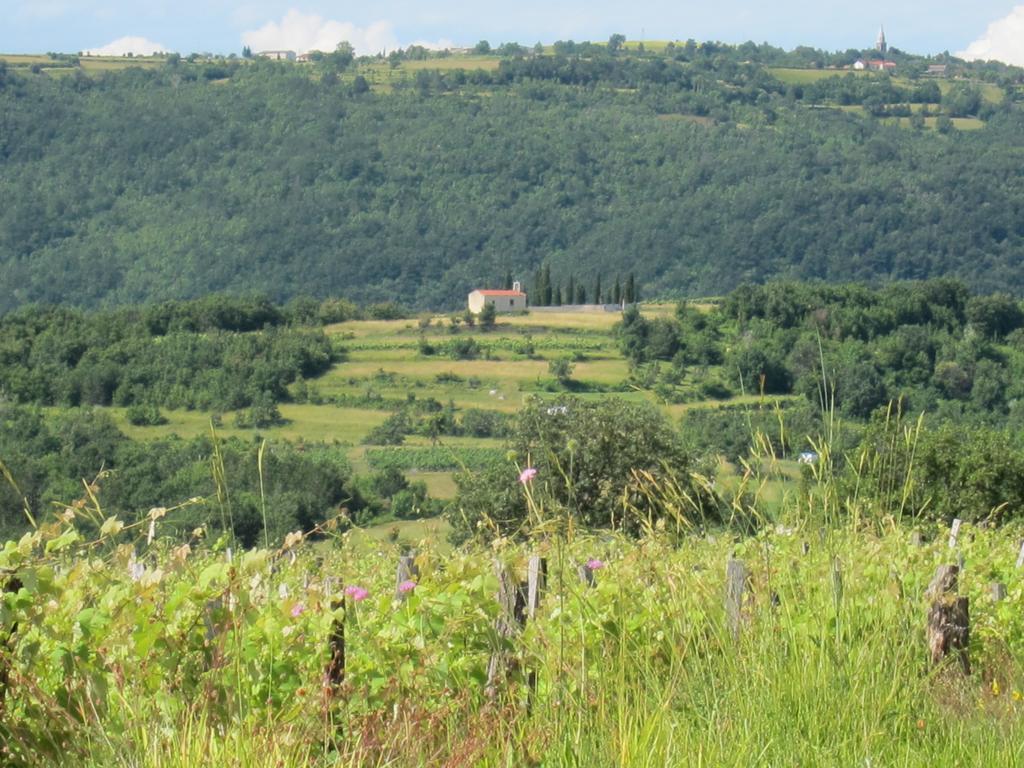 Villa Flori Adriatic Marezige Camera foto