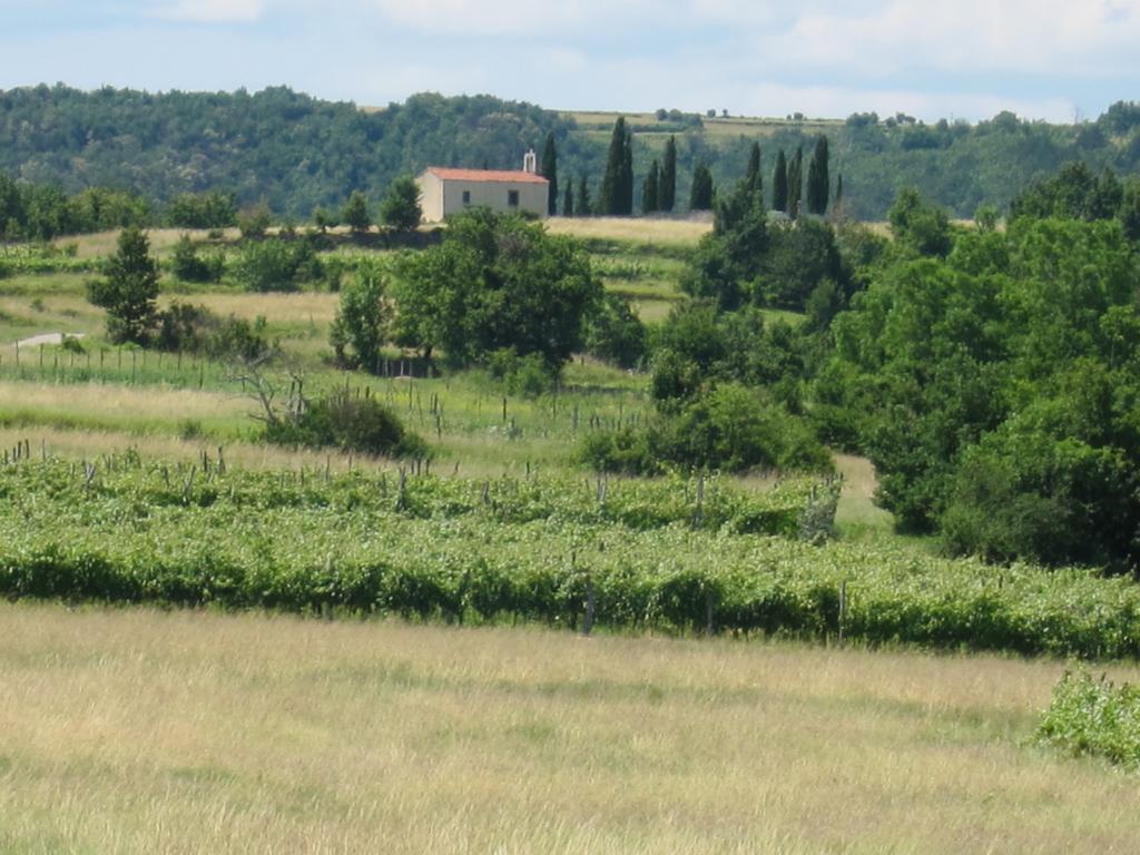Villa Flori Adriatic Marezige Camera foto