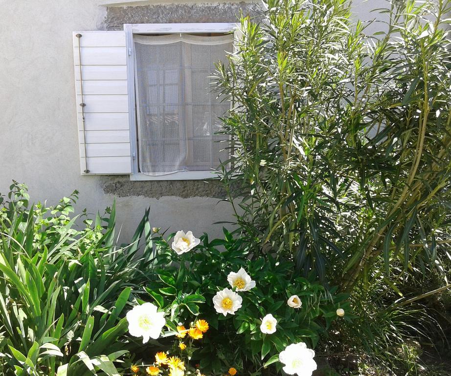 Villa Flori Adriatic Marezige Esterno foto